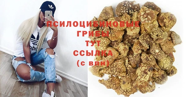 прущая мука Богородицк