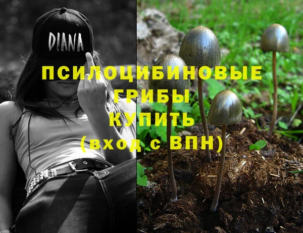 амфетамин Богданович