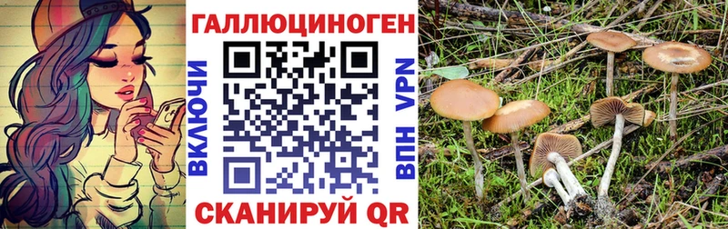 OMG ССЫЛКА  Кондопога  Галлюциногенные грибы Psilocybine cubensis 